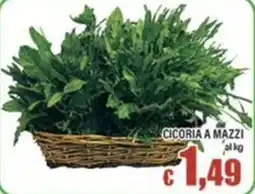 Top Supermercati Cicoria a mazzi offerta