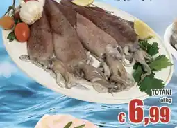 Top Supermercati Totani offerta