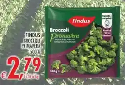 Deco Superstore Findus Broccoli Primavera offerta