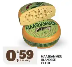 Il Punto Sigma Maasdammer olandese offerta