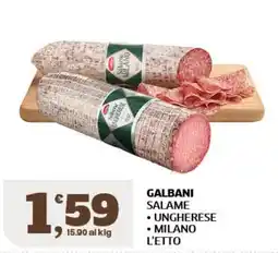 Il Punto Sigma Galbani Salame Ungherese Milano offerta