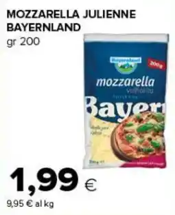 Tigre Amico Mozzarella julienne bayernland offerta