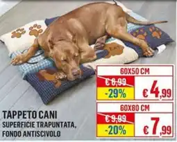 Satur Tappeto cani offerta