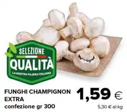 Oasi Funghi champignon extra offerta