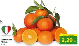 Oasi Clementine Foglia offerta