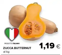 Oasi Zucca butternut offerta