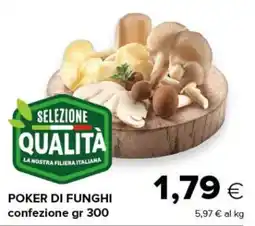 Oasi Poker di funghi offerta