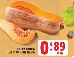 Deco Market Zucca lunga offerta