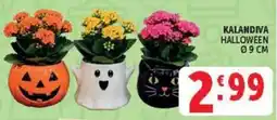 Deco Market Kalandiva Halloween offerta