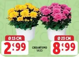 Deco Market Crisantemo Vaso offerta