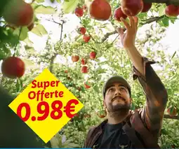 Lidl Mele offerta