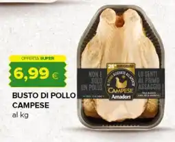 Oasi Busto di pollo Campese offerta