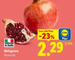 Lidl Melagrana offerta