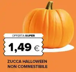 Oasi Zucca halloween offerta