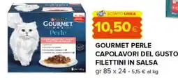 Oasi Gourmet Perle Capolavori del Gusto Filettini in Salsa offerta
