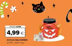 Oasi Zucca Halloween offerta