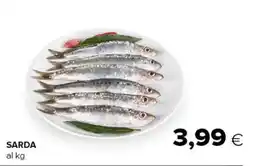 Oasi Sarda offerta