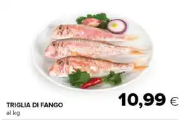 Oasi Triglia di fango offerta