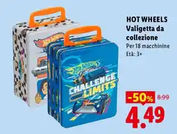 Lidl Hot Wheels Valigetta da collezione offerta