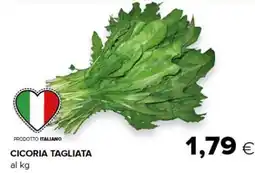 Tigre Cicoria tagliata offerta