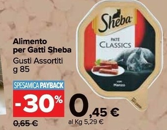 Carrefour Market Cibo per gatti offerta