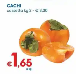 MD Discount Cachi offerta