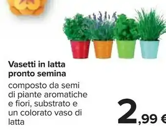 Carrefour Vasetti in latta pronto semina offerta