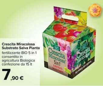 Crescita miracolosa substrato salva pianta