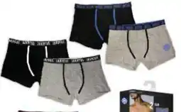 Oasi Boxer offerta