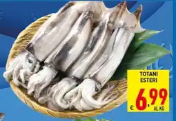 Iper Triscount Totani Esteri offerta