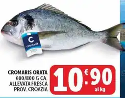 Deco Market Cromaris Orata offerta