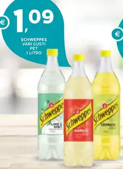 Extra Supermercati Schweppes offerta