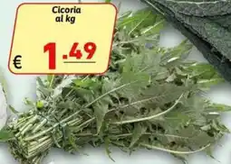 Ipercarni Cicoria offerta