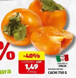 ALDI Cachi offerta