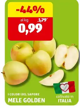 ALDI I colori del sapore mele golden offerta