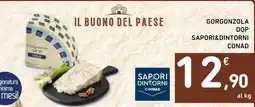 Spazio Conad Gorgonzola DOP offerta