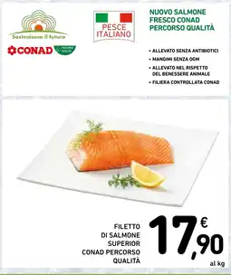 Spazio Conad Filetto di salmone superior Conad percorso qualità offerta