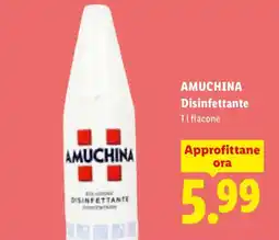 Lidl Amuchina Disinfettante offerta