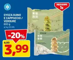 DPiù Gyoza suino e cappuccio / verdure offerta