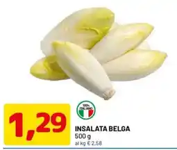 DPiù Insalata Belga offerta