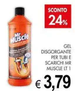 PrestoFresco Gel disgorgante per tubi e scarichi Mr Muscle offerta