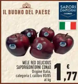 Conad City Mele red delicious Sapori&Dintorni Conad offerta