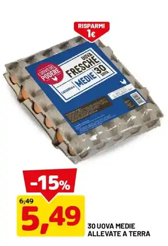 Uova fresche medie