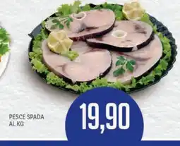 Supermercati Piccolo Pesce spada offerta
