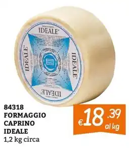 Zona Formaggio caprino ideale offerta