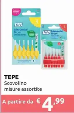 Smoll TEPE Scovolino offerta