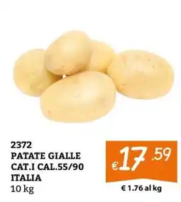 Zona Patate gialle offerta