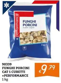 Zona Funghi porcini +performance offerta