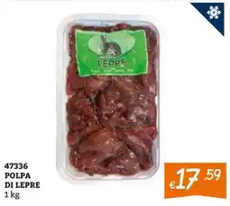 Zona Polpa di lepre offerta