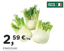 Orvea Finocchio offerta